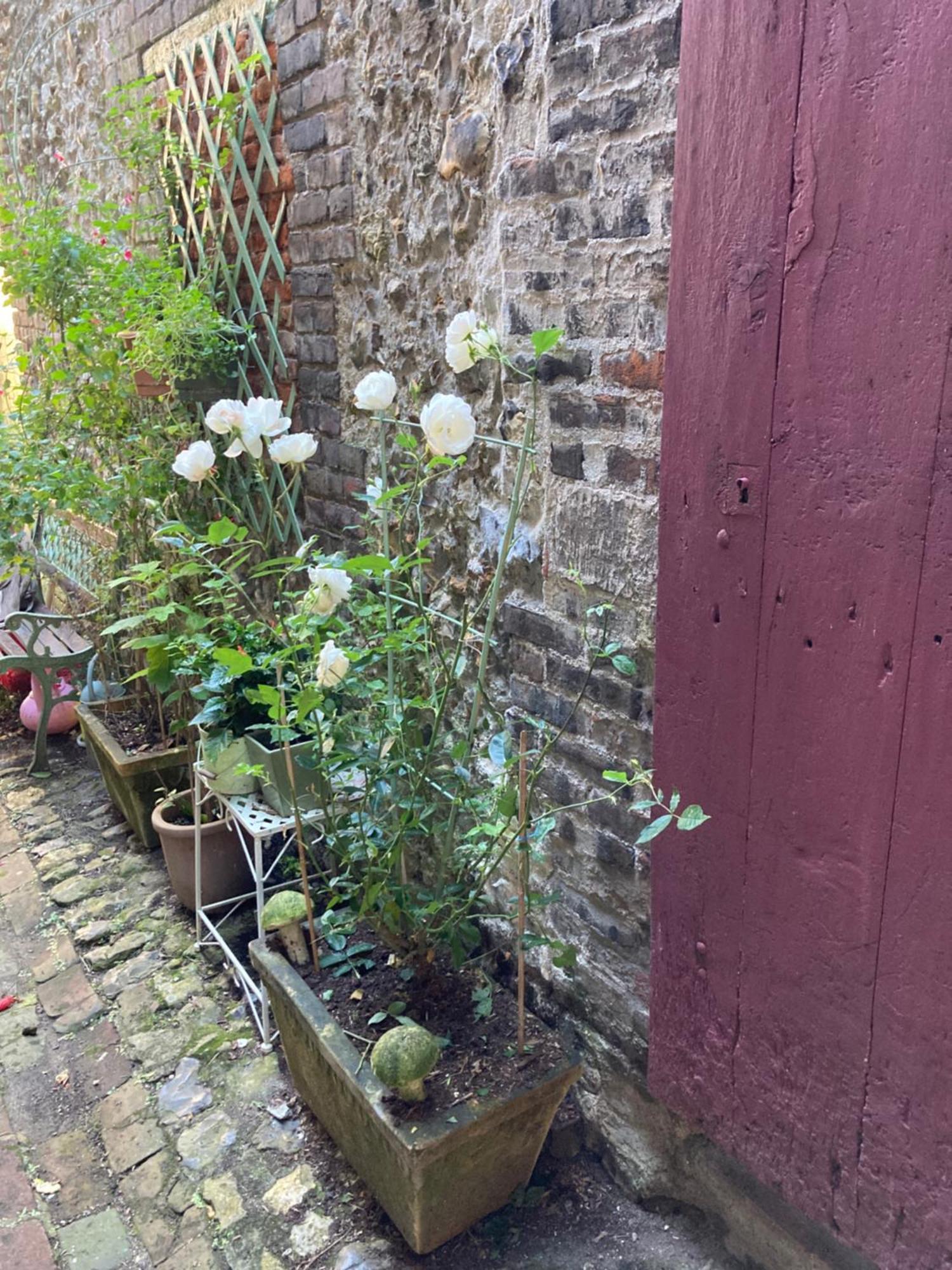 La Maison Belle Maree Honfleur Ngoại thất bức ảnh